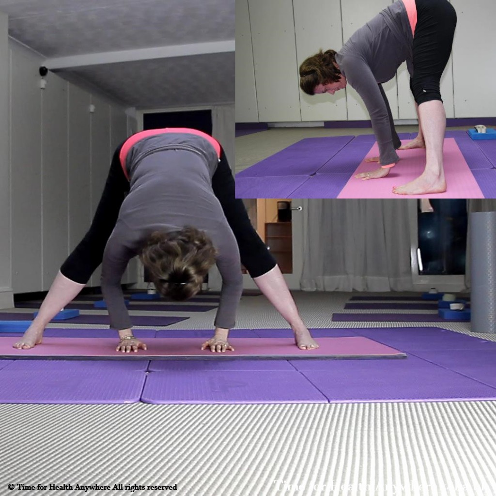 prasarita padonatasana